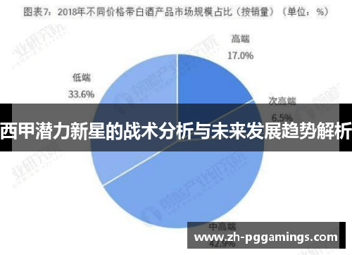 西甲潜力新星的战术分析与未来发展趋势解析