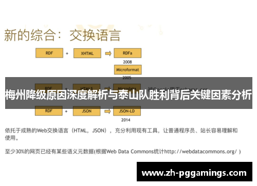 梅州降级原因深度解析与泰山队胜利背后关键因素分析