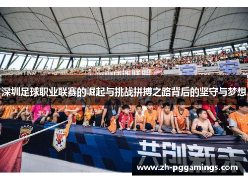 深圳足球职业联赛的崛起与挑战拼搏之路背后的坚守与梦想